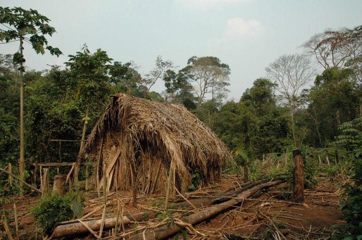 One of the man's straw huts is seen in a clearing he made. 